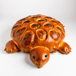 TORTUE